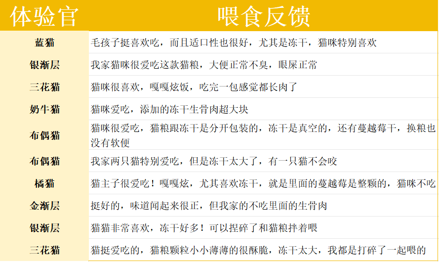 倍内菲猫粮怎么样？