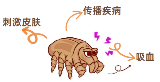 狗狗身上有蜱虫怎么办
