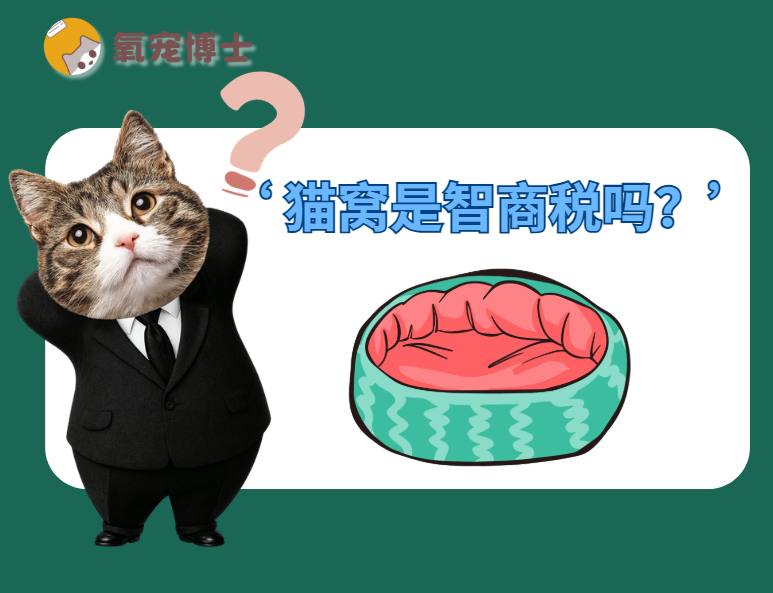 猫窝是养猫的“必需品”还是“智商税”？