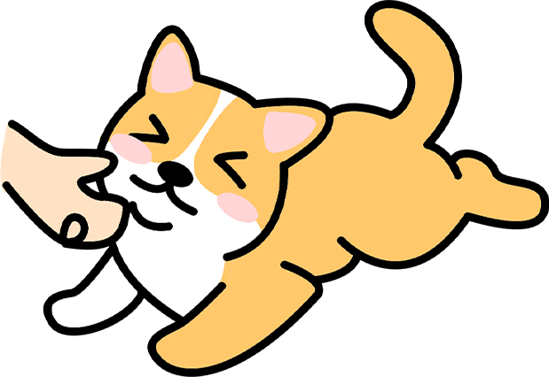 狗狗过年带不回去怎么办？