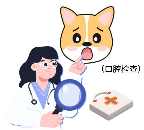 猫咪口腔溃烂恶臭？快学习这些拯救妙招！