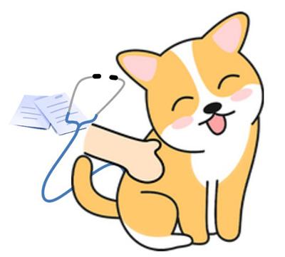 面对狗狗身上的红疙瘩，铲屎官该如何科学应对？