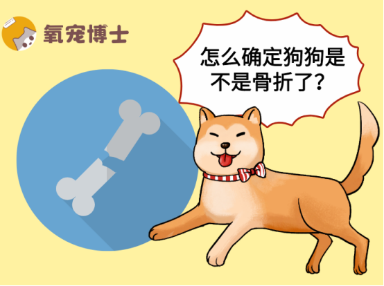 怎麼確定狗狗是不是骨折了？3秒區分骨折VS扭傷