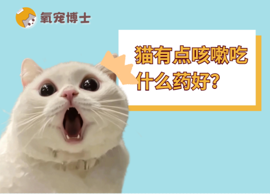 猫有点咳嗽吃什么药好？