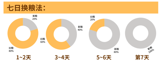 猫咪7日换粮法