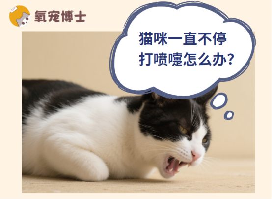 猫咪一直不停打喷嚏怎么办？