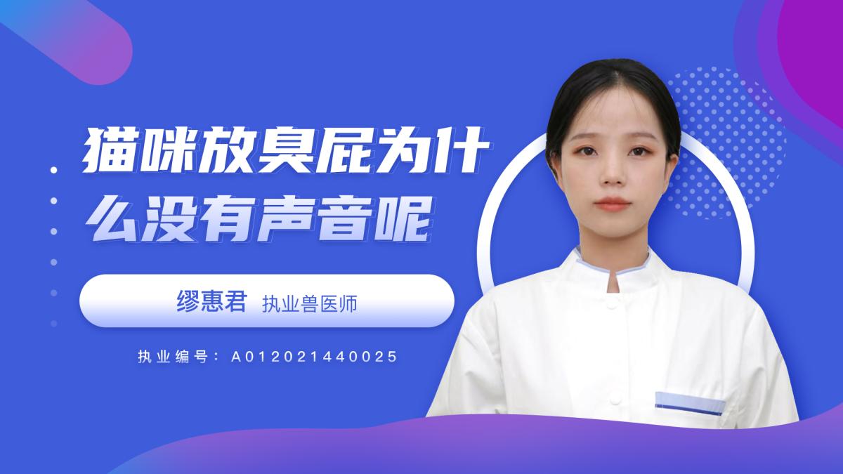 猫咪放臭屁为什么没有声音呢？