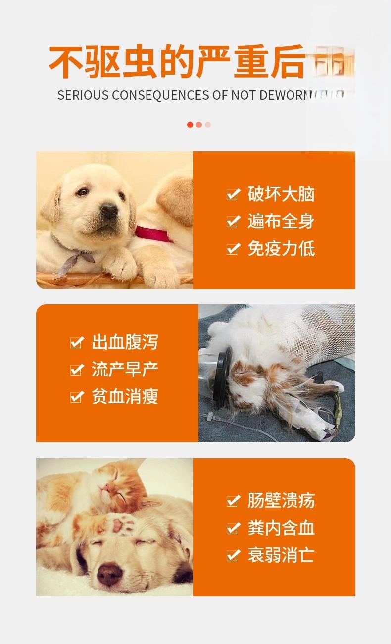 犬猫不驱虫的后果