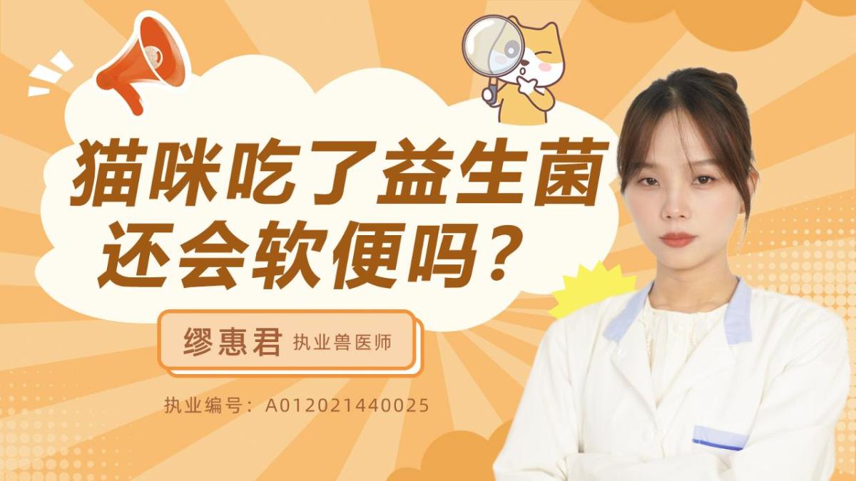 猫咪吃了益生菌还会软便吗？