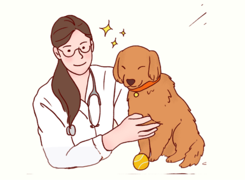 狗狗耳朵发炎怎么办？