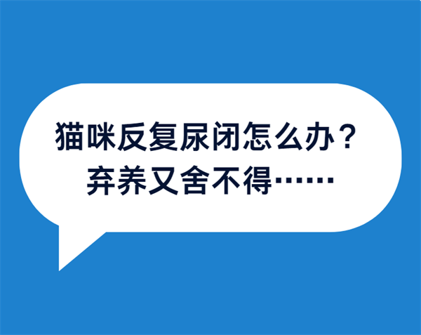 猫咪尿闭复发？可能是铲屎官忽略了这点