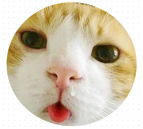 猫咪流鼻涕吃什么药好？