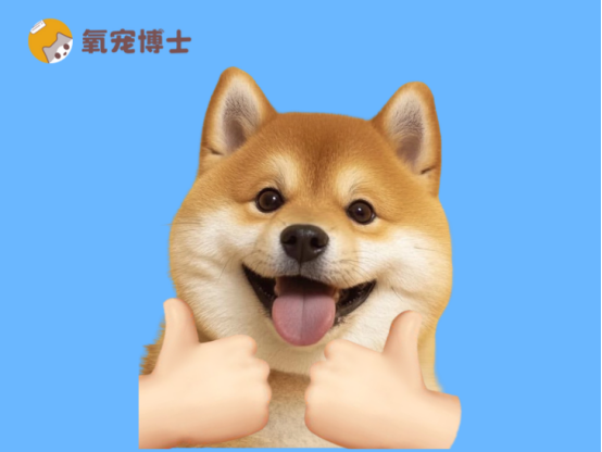 狗癬初期癥狀圖片區(qū)分