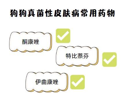 皮特芬喷剂能治疗狗狗皮肤病吗？