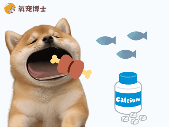 哪些狗狗需要注意补钙？