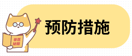 貓咪黑下巴怎麼治？