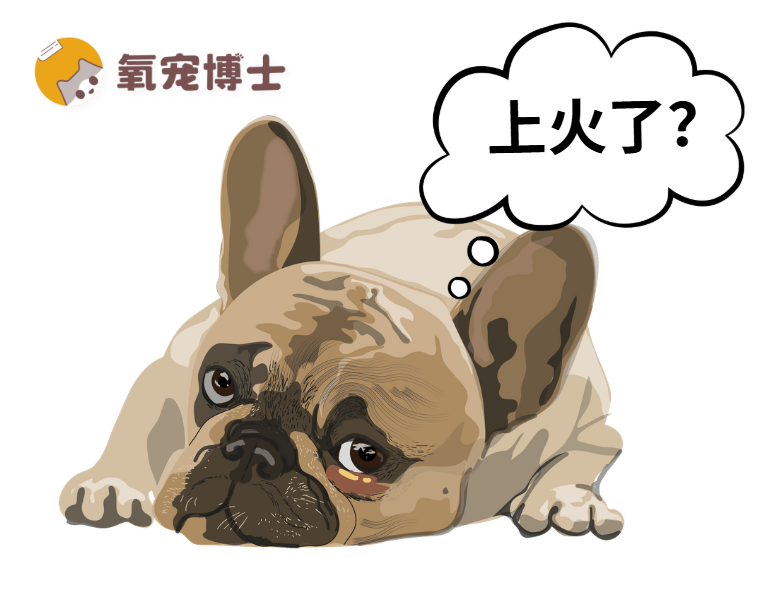 狗狗换粮后眼屎变多，是狗粮有问题吗？