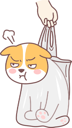 狗狗啃墙皮怎么解决