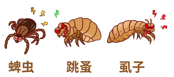 狗狗身上痒用什么药好
