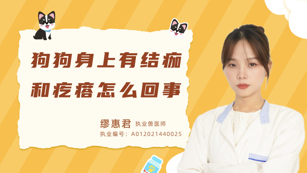 狗狗身上有结痂和疙瘩是怎么回事？