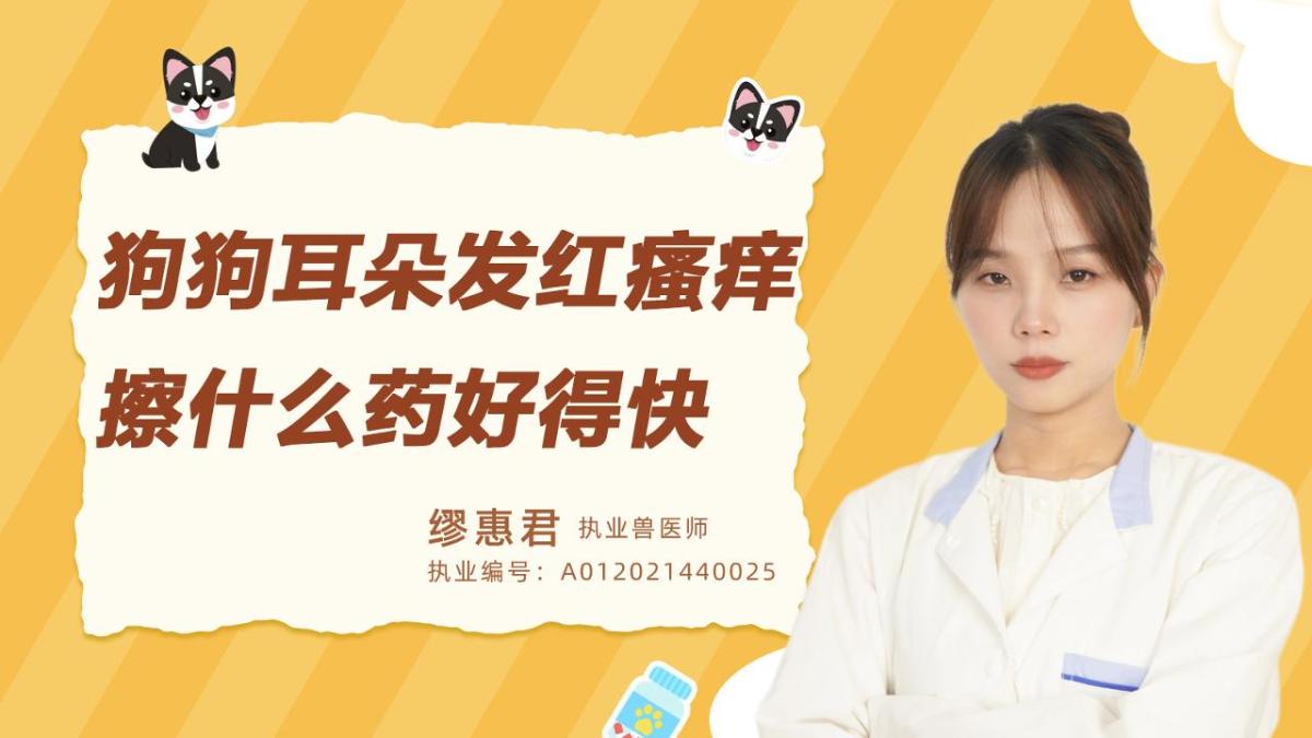 狗狗耳朵发红、瘙痒擦什么药好得快？
