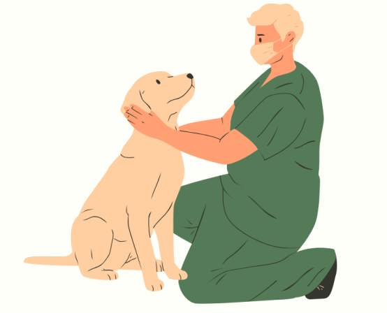 狗狗耳朵紅腫怎么治