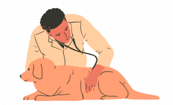 幼犬感冒了怎么办最简单的方法