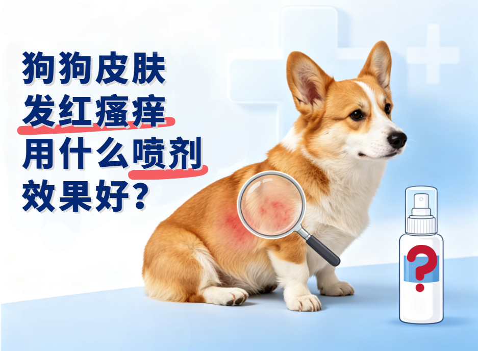 狗狗皮肤发红瘙痒用什么皮肤喷剂效果好？
