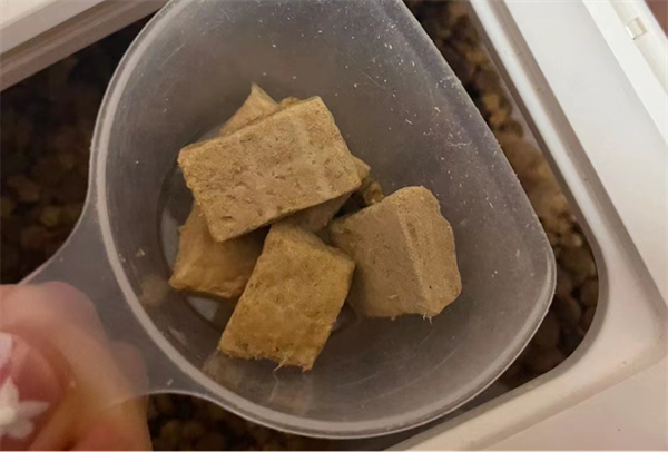 国产狗粮测评