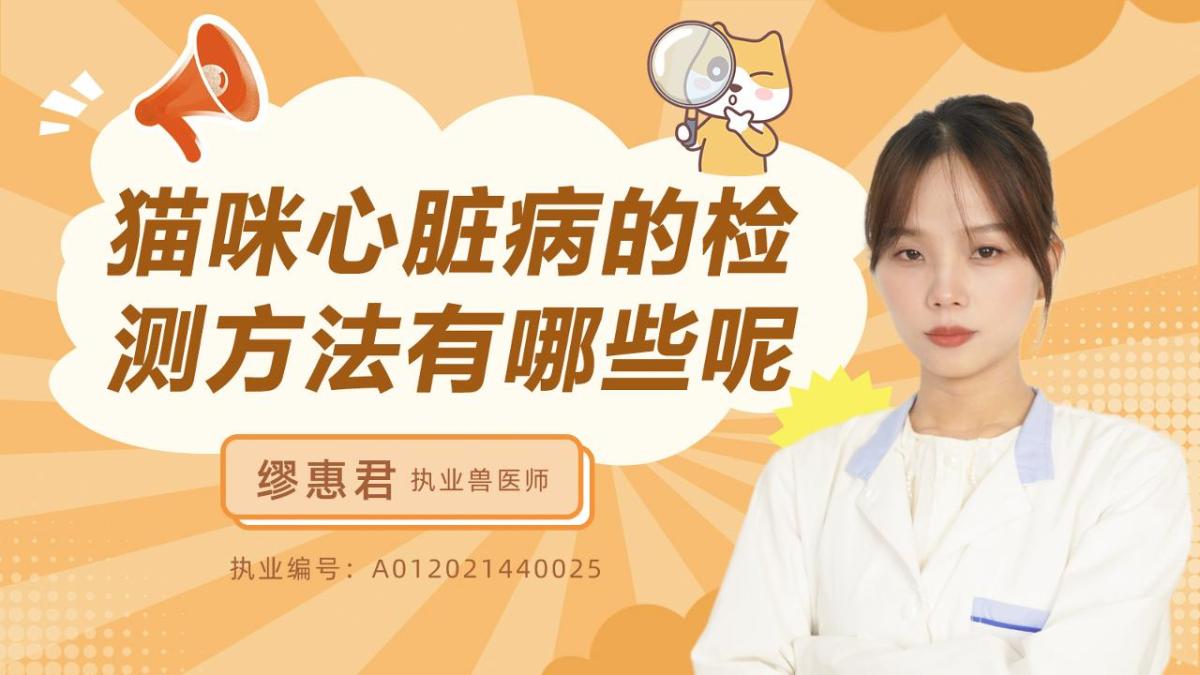 心脏病的检测方法有哪些呢？