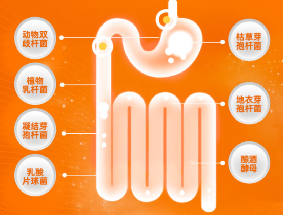 狗狗拉稀吃什么药？