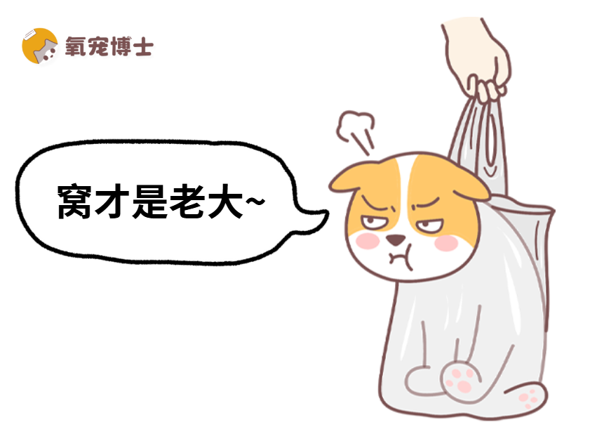 狗狗认为你比它地位低的表现