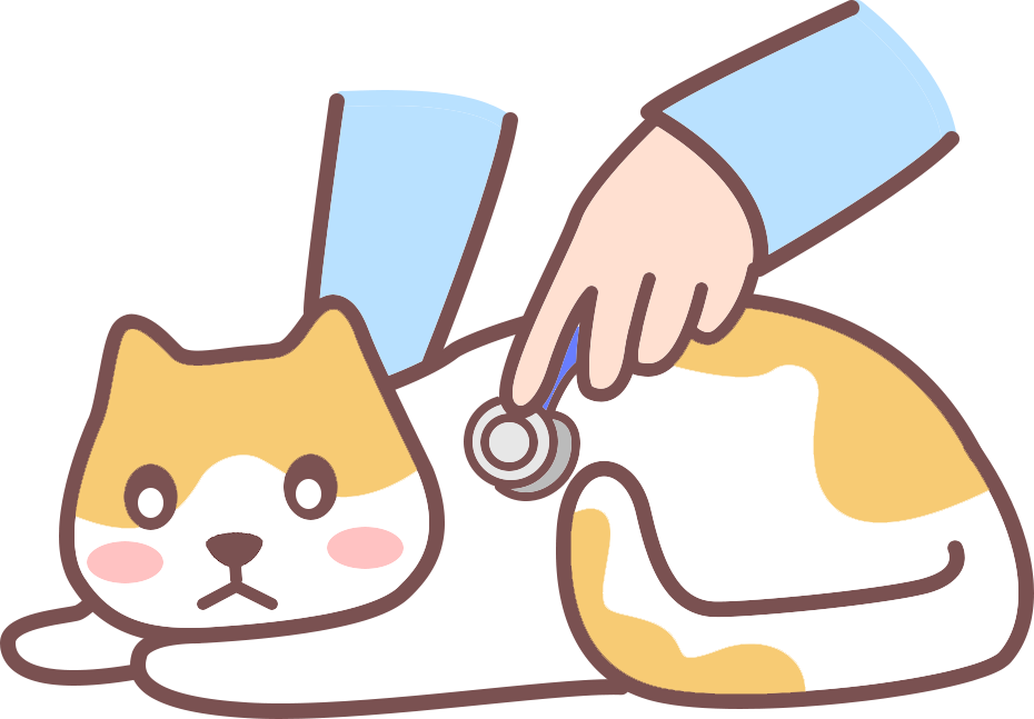 猫咪刚到家要注意什么？