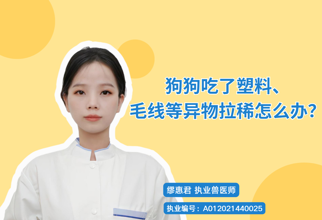 狗狗吃了塑料、毛线等异物拉稀怎么办？