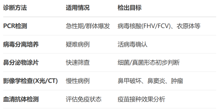 貓咪打噴嚏流鼻涕