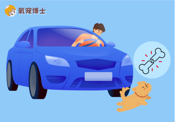 狗狗的腿被车压骨折了能自愈吗？