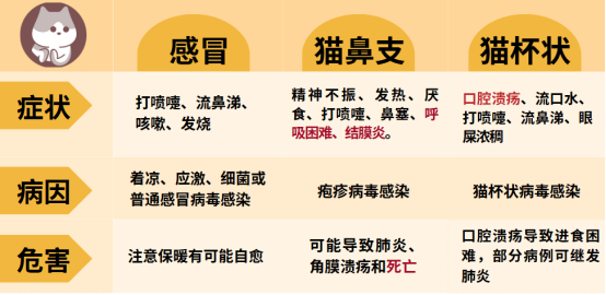 猫咪感冒症状