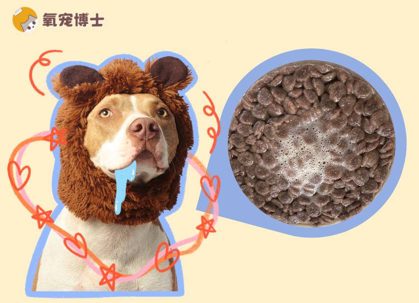 狗粮泡水喂到底好不好？一篇看懂，不再纠结