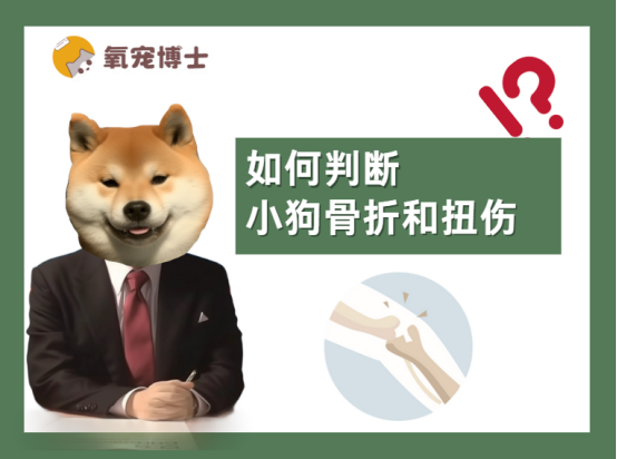 如何快速判断小狗骨折还是扭伤