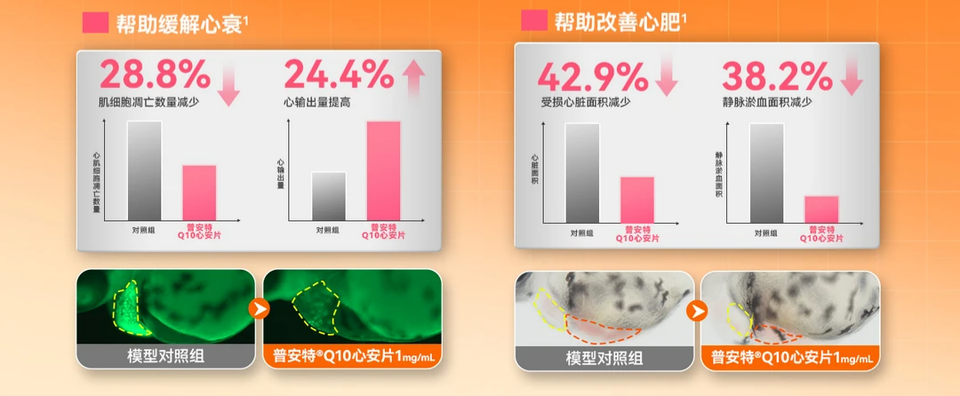 性价比高的宠物辅酶Q10品牌