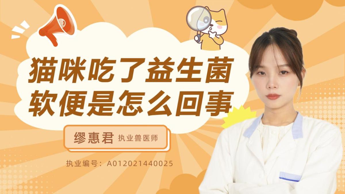 貓咪吃了益生菌軟便是怎麼回事?