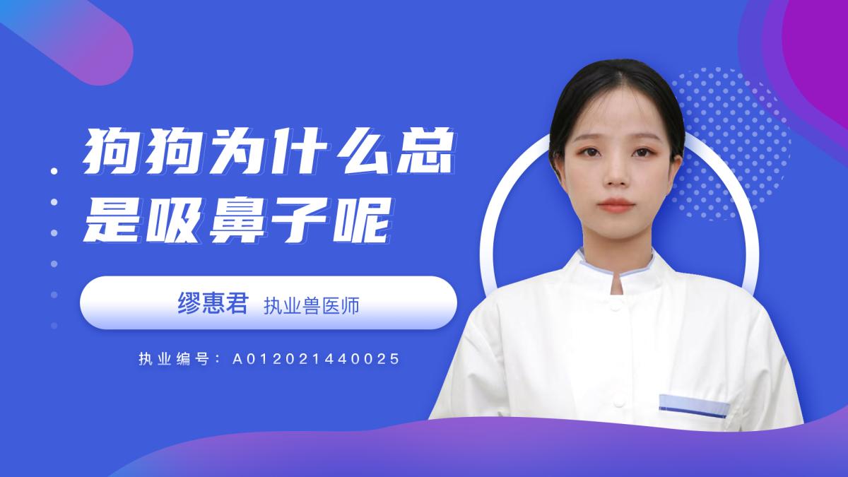 狗狗为什么总是吸鼻子？