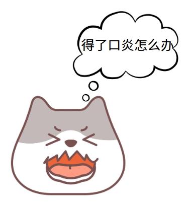 猫口炎治疗攻略：药物护理双管齐下