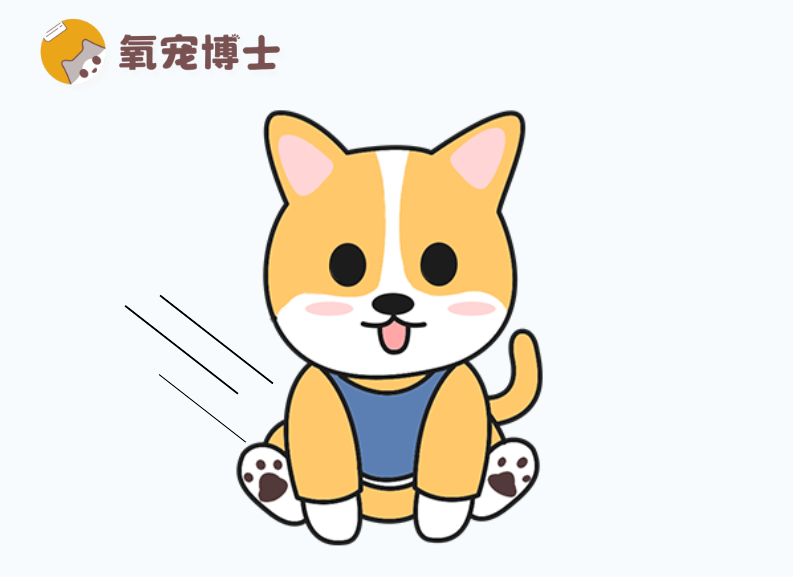 狗狗在地上摩擦屁屁？警惕这些健康问题！