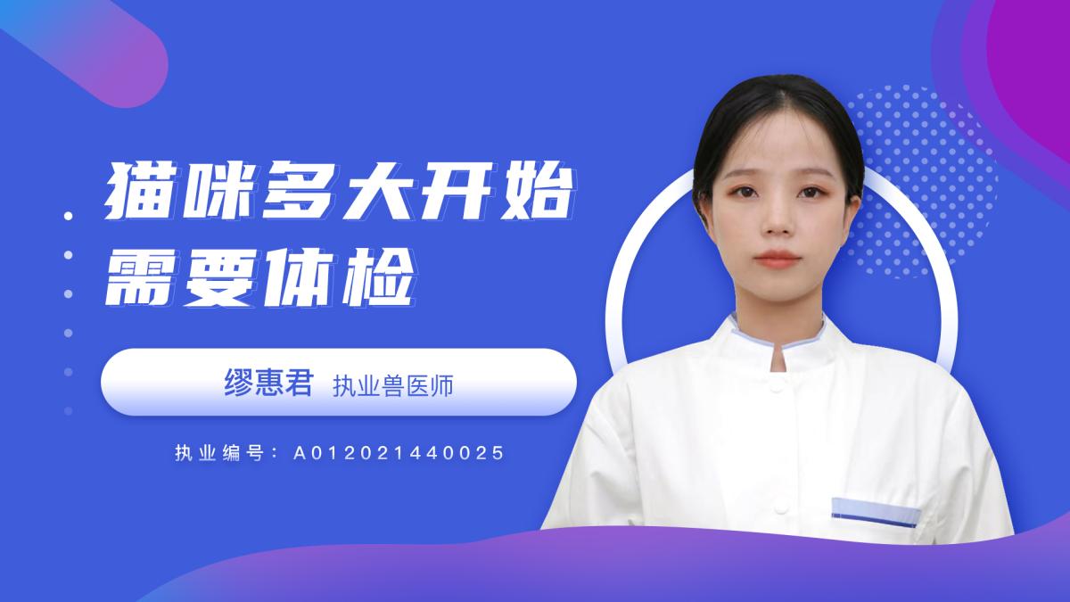 貓咪多大開始需要體檢？