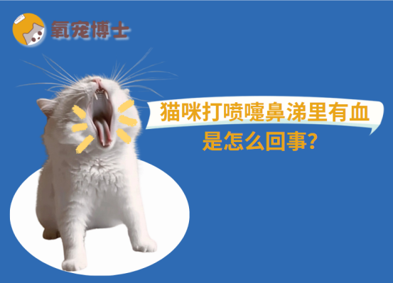 猫咪打喷嚏鼻涕里有血怎么回事？