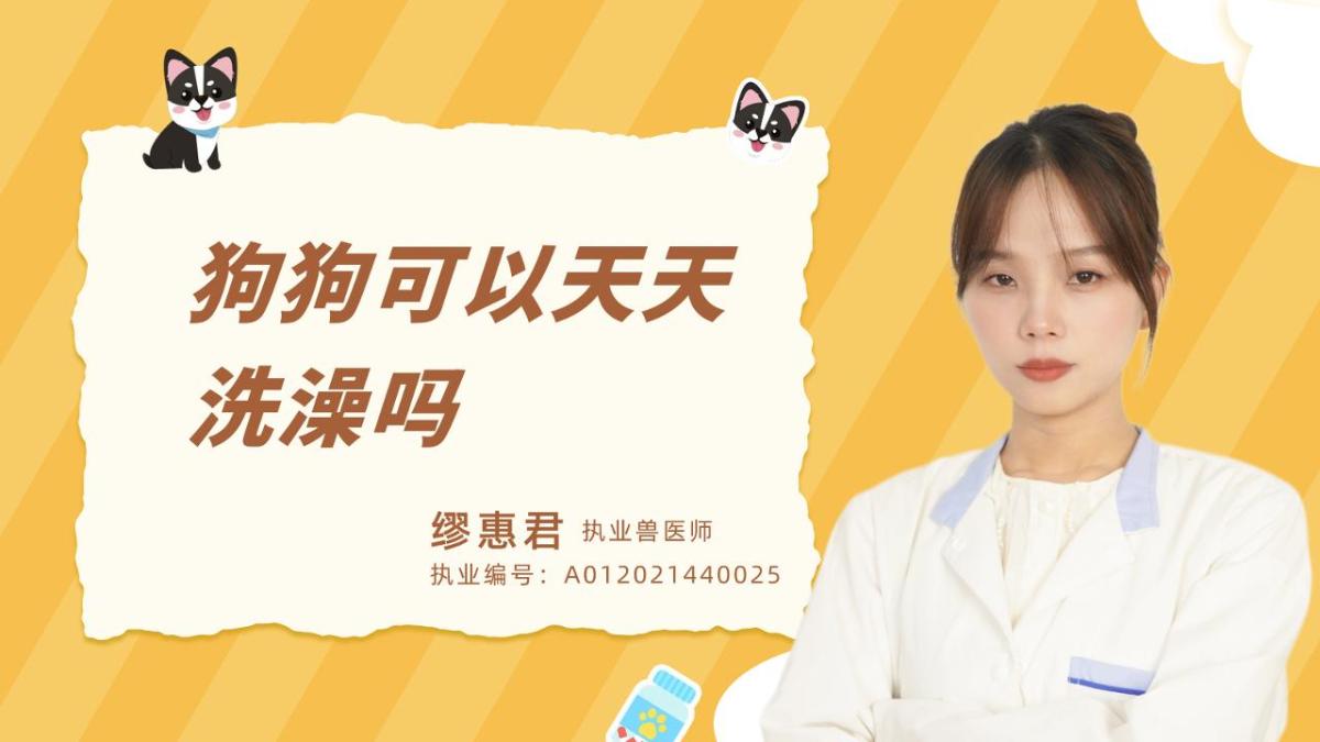 狗狗可以天天洗澡吗？
