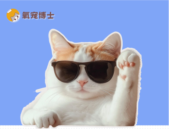 猫咪尿道炎吃什么药效果最快