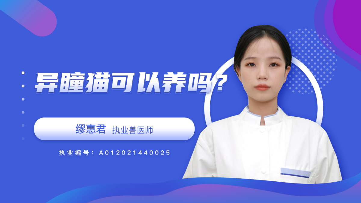 异瞳猫可以养吗？有什么疾病吗？