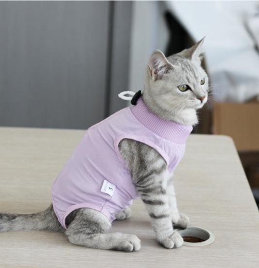 纯色猫咪绝育服紫色